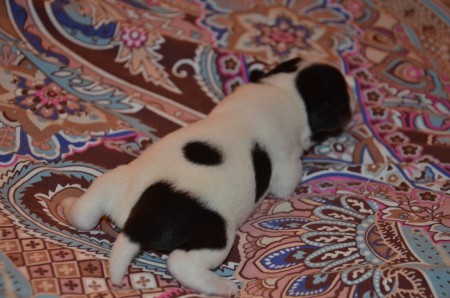 ERAGON als... Unterwäsche-Modell??? Jedenfalls in halben Shorts :-)